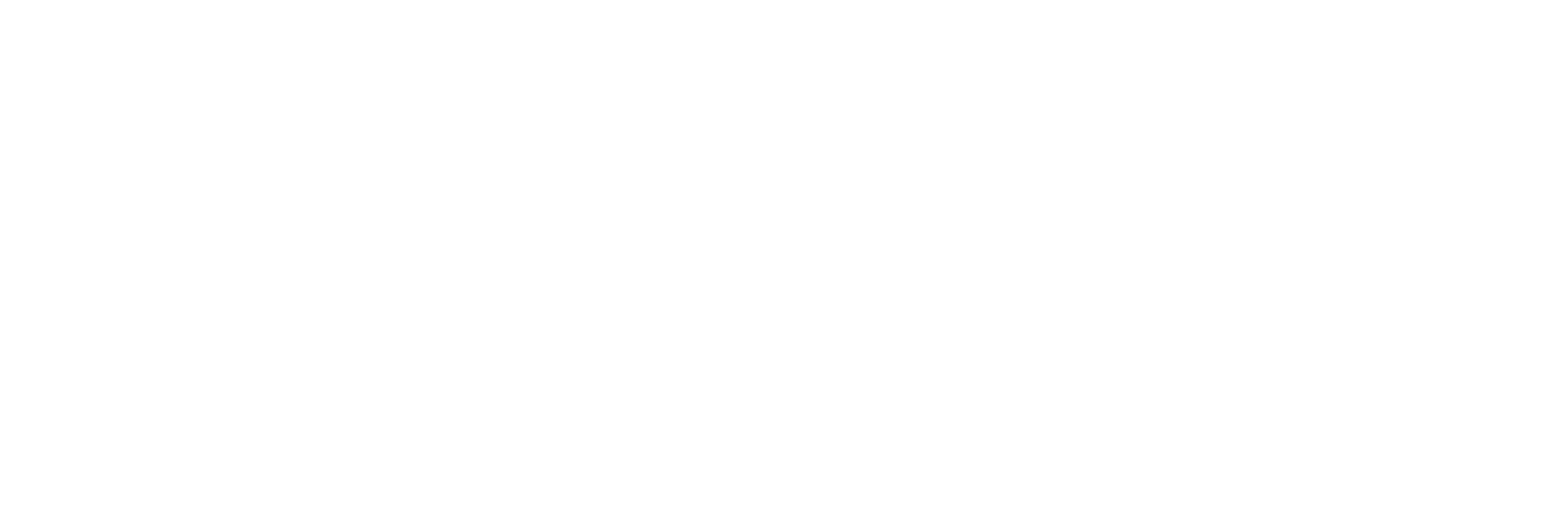 Bigomics Logo